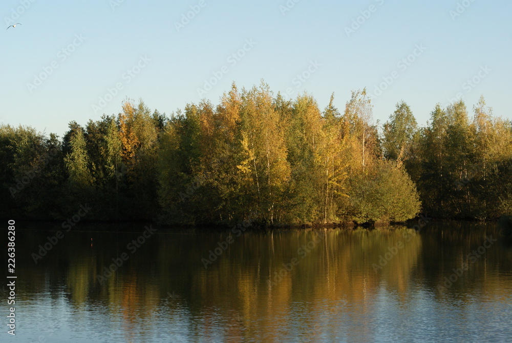 Beautiful park in Bremen with lake and green gras and trees perfect place for relax or camping or piknick with family and kids Beautiful park in Bremen with lake and green gras and trees perfect place for relax or camping or piknick with family and kids