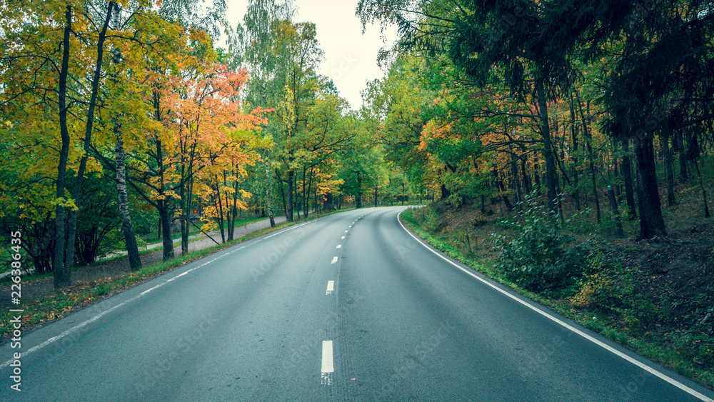 Road through the autumn forest at october. Road through the autumn forest at october.
