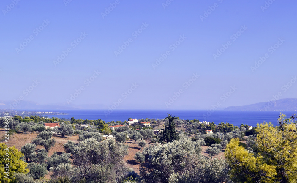 landscape of Eretria Euboea Greece - scenery from above