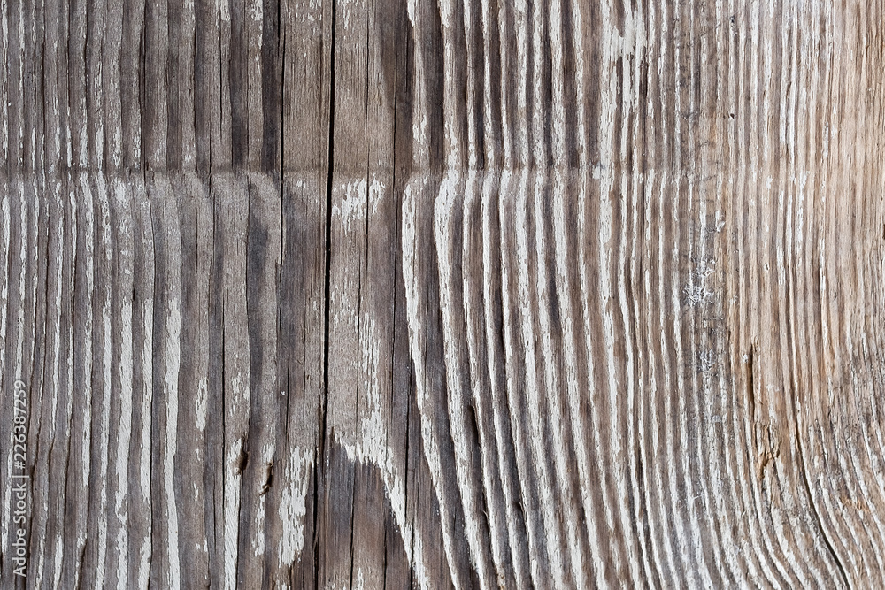 Fototapeta premium Gray wooden plank table background or texture.