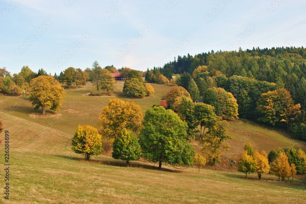 Fototapeta premium Jesień