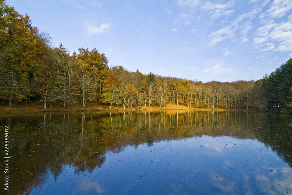 Fall season, small lake in the Foresta Umbra, Gargano, Apulia, Italy