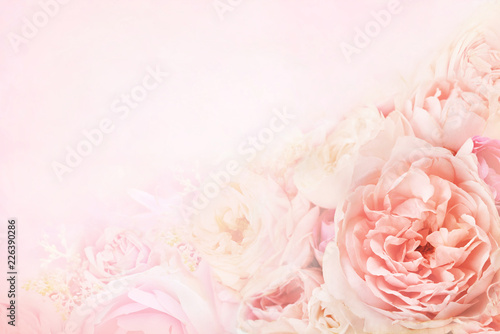 Summer blossoming delicate rose on blooming flowers festive background, pastel and soft bouquet floral card