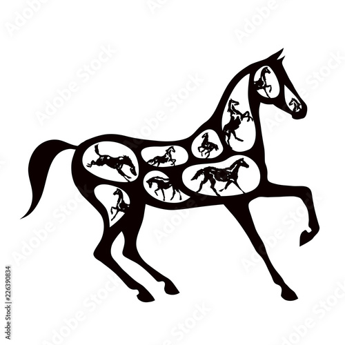 Concept black horse silhouette many horses inside different poses on white. Hand drawing equine vector illustration.
