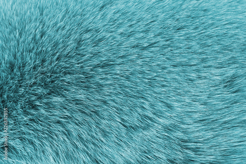 Close up texture of blue fur abstract background