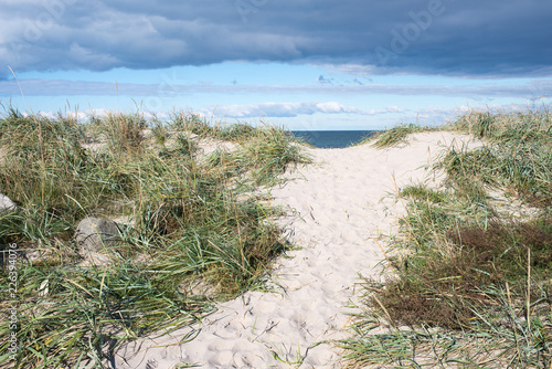 Path to a beach in Denmark through the dunes and steps in sand