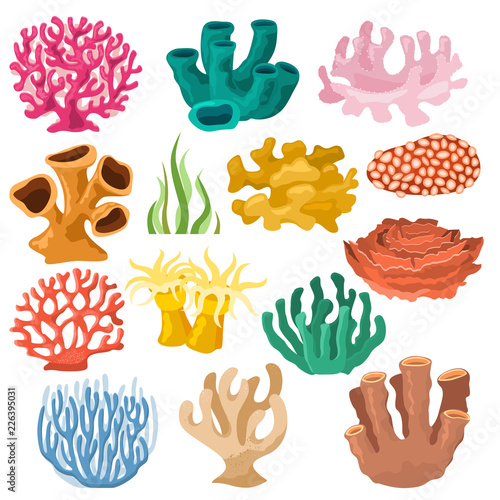 Coral vector sea coralline or exotic cooralreef undersea illustration coralloidal set of natural marine fauna in ocean reef and aquatic plant for aquarium isolated on white background