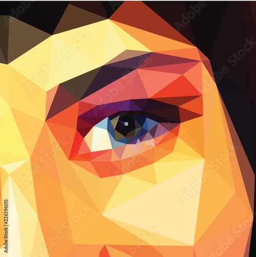 polygonal eye of a beautiful girl full color