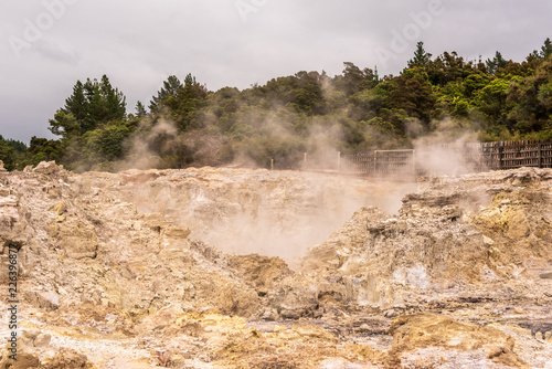 Hot Steam Rises from Beneath the Earth