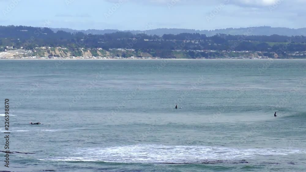 Unidentified surfers at Santa Cruz, Pleasure Point, on the northern Monterey Bay in Santa Cruz County, California, USA, a world renowned surf location Unidentified surfers at Santa Cruz, Pleasure Point, on the northern Monterey Bay in Santa Cruz County, California, USA, a world renowned surf location