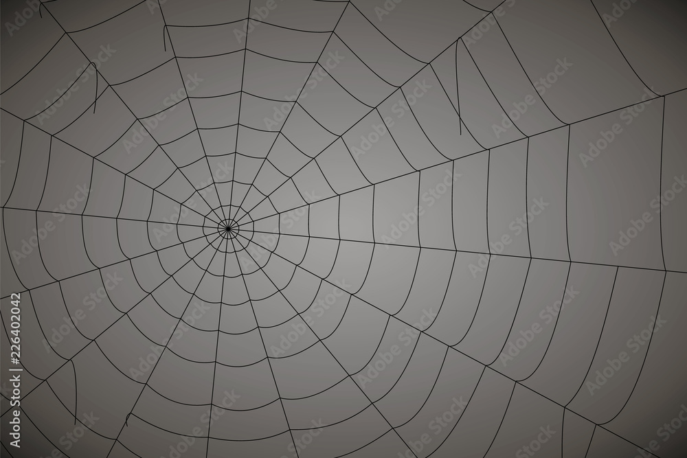Obraz premium concentric white web on a gray background