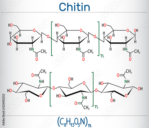 Εκτύπωση καμβά Chitin molecule