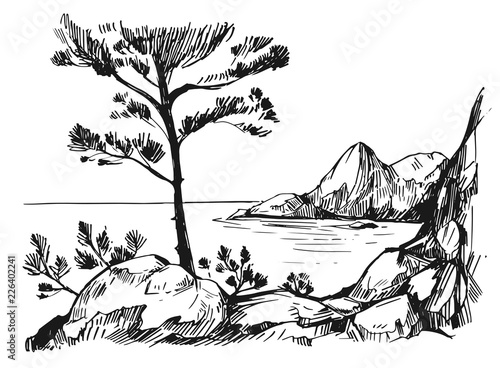 Sketch with sea  rocks and pine-tree. Hand drawn illustration converted to vector