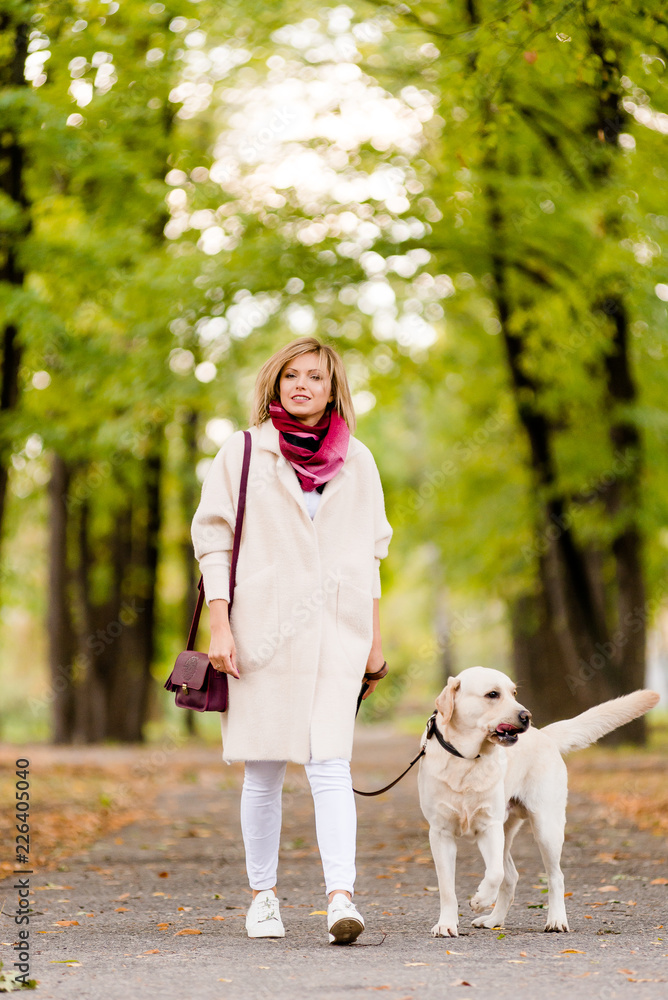 A woman walks with her labrador in the fall. A woman walks with her labrador in the fall.