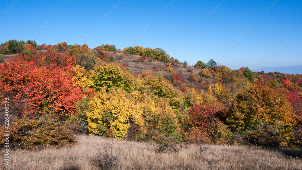 Amazing Autumn landscape of Cherna Gora (Monte Negro) mountain, Pernik Region, Bulgaria