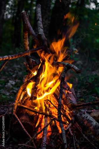 Bonfire from dry branches in the forest at dusk, vertically