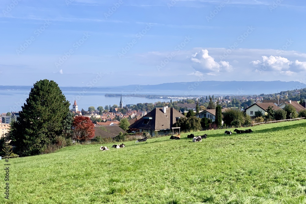 Obraz premium Bodensee
