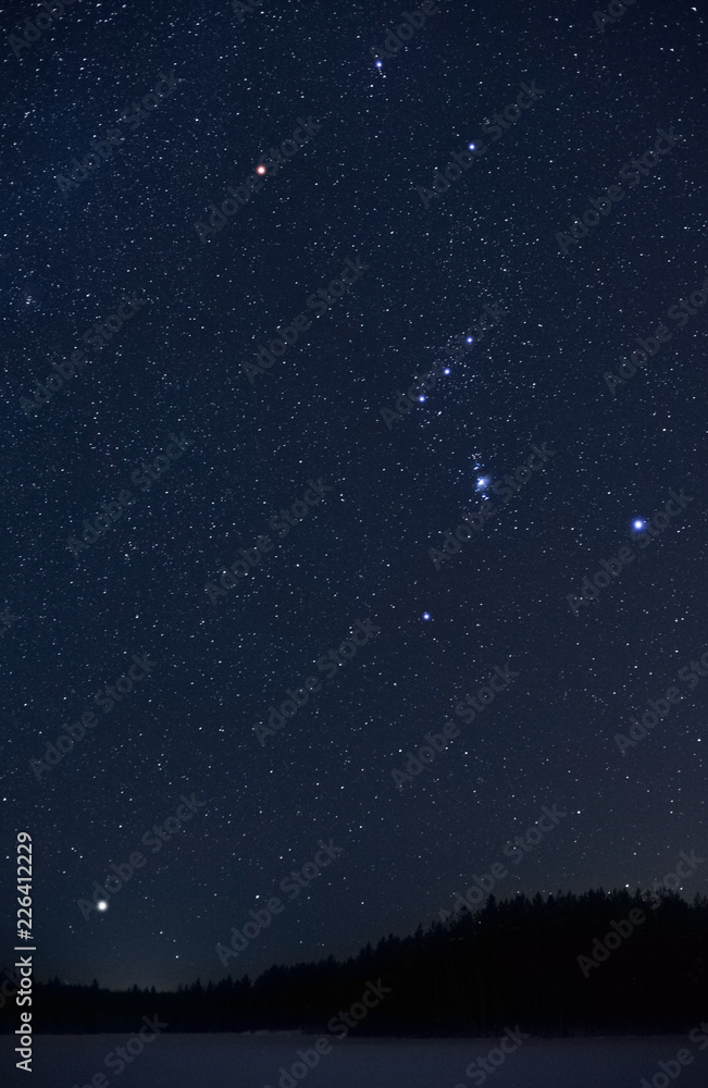 Orion constellation and Sirius rising above horizon on a cold winter night. Orion constellation and Sirius rising above horizon on a cold winter night.
