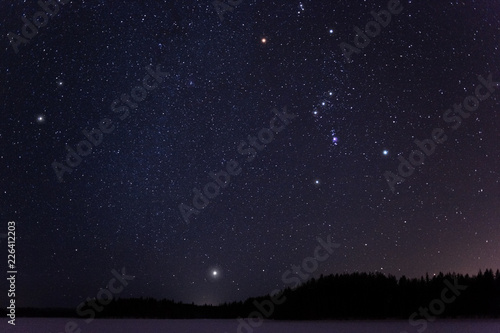 Orion and Canis Minor constellations and Sirius above horizon on a cold winter night. photo
