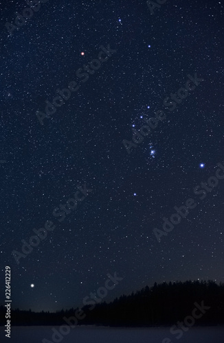Orion constellation and Sirius rising above horizon on a cold winter night.