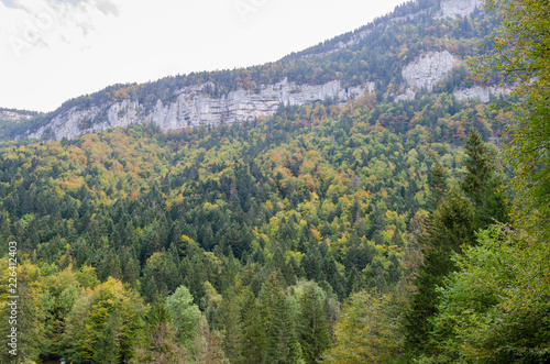 View of the Chartreuse mountains