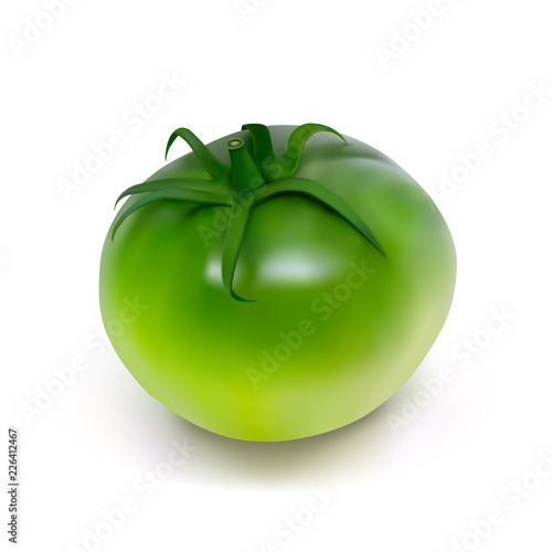Green unripe tomato on a white background. Photo-realistic vector illustration.