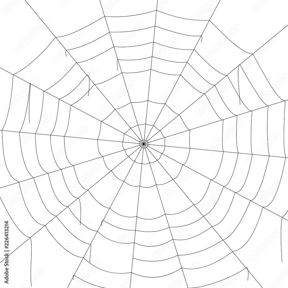 concentric white web on a white background concentric white web on a white background