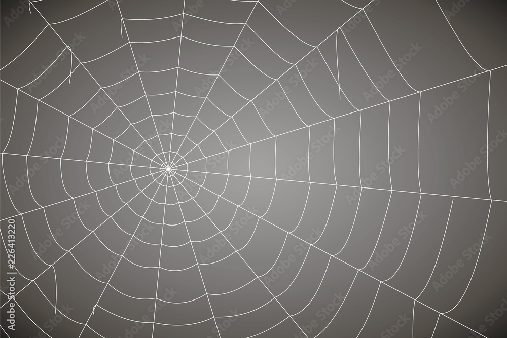 Obraz premium concentric white web on a gray background