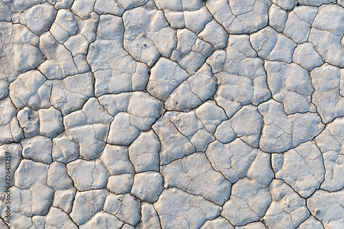 Картината върху платно Closeup of the dry surface of Bonnie Claire Playa in Nevada