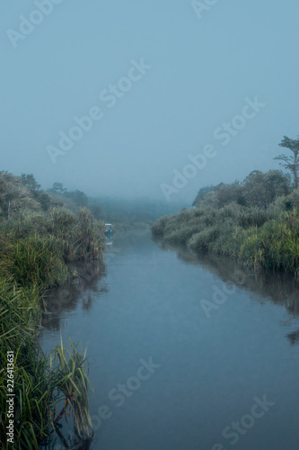 Mañana con niebla en el río de Borneo