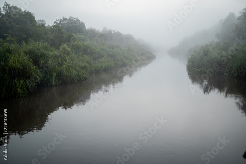 Mañana con niebla en el río de Borneo