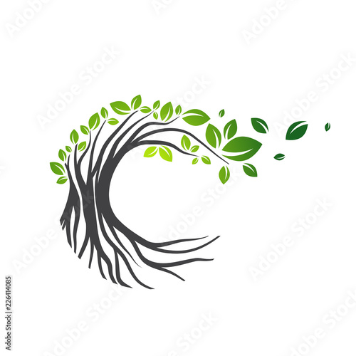 Round Tree With Flying Leaves