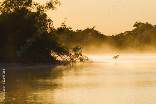 River before sunrise in the Pantanal