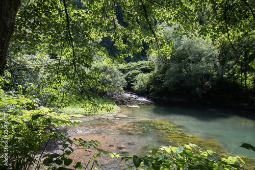 beautiful source of ljubljanica in vrhnika, slovenia photo