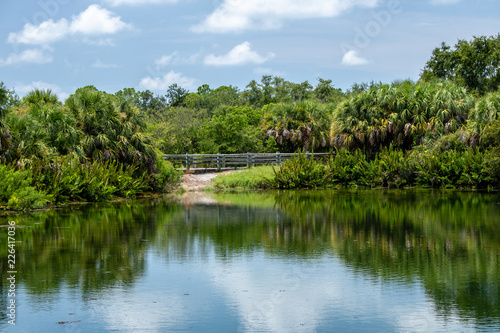 landscape with river and trees