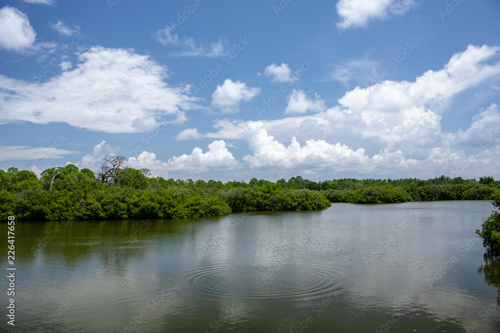 landscape with river and trees landscape with river and trees
