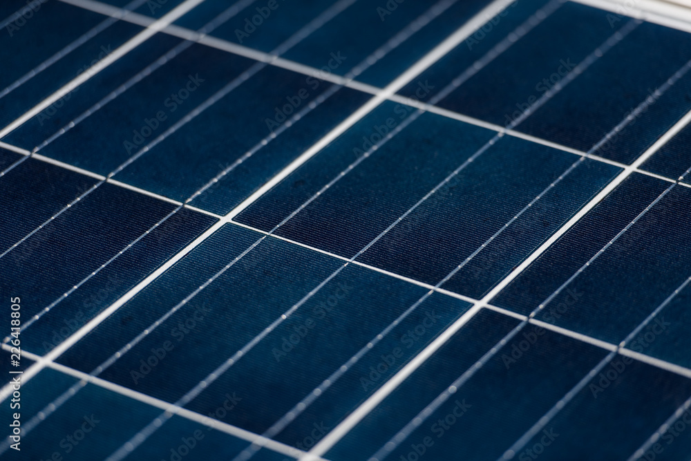 solar panels plant solar panels plant