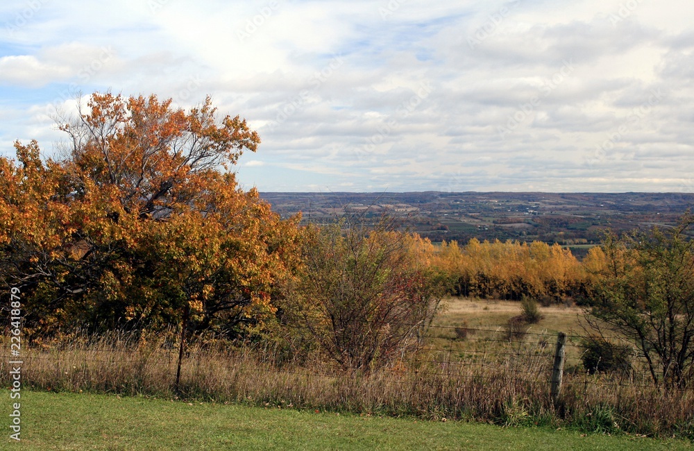 Autumn View In Grey County