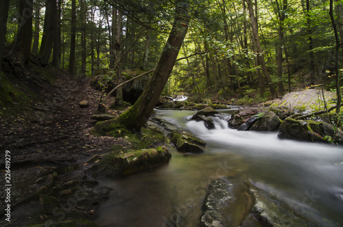 Beautiful Appalachian Mountain Stream And Waterfall