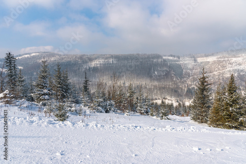 Fototapeta Naklejka Na Ścianę i Meble -  Winter landscape of Beskid Mountains