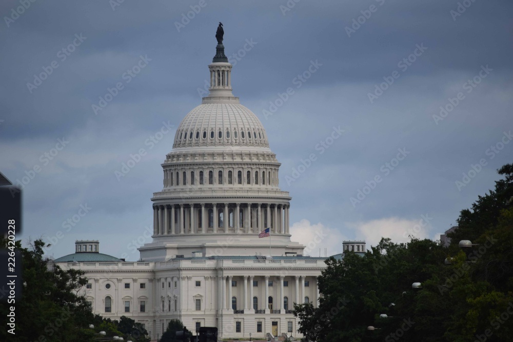 Fototapeta premium Washington DC Capital