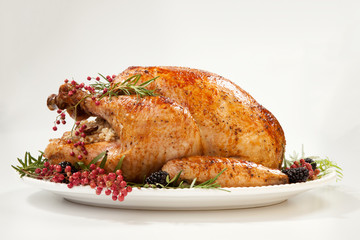 Thanksgiving Turkey on White