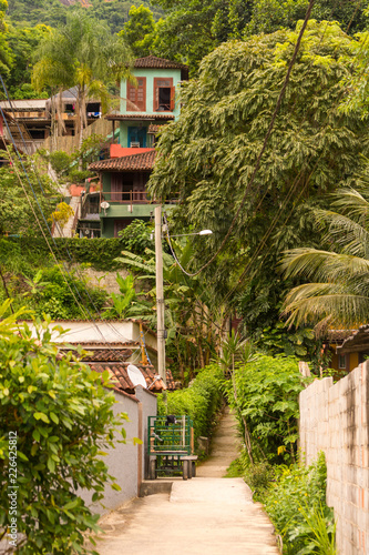 Small durt street in the jungle with typical wooden colorful houses, Ilha Grande, Brazil photo