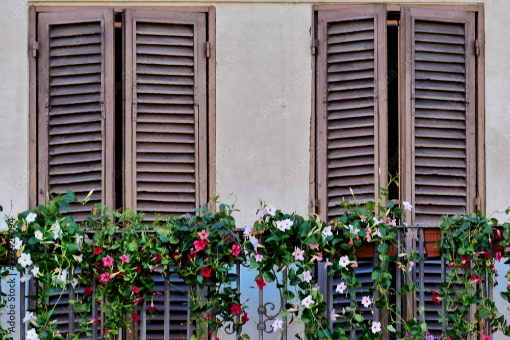 Venetian Windows