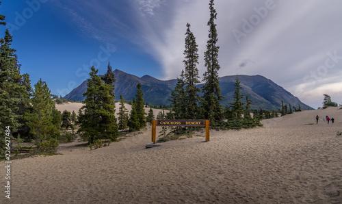 Carcorss Desert in Yukon Canada