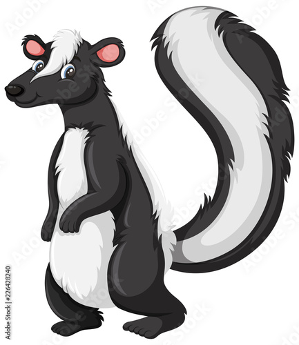 A skunk character on white background