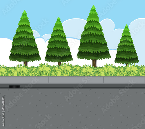 Nature roadside view landscape