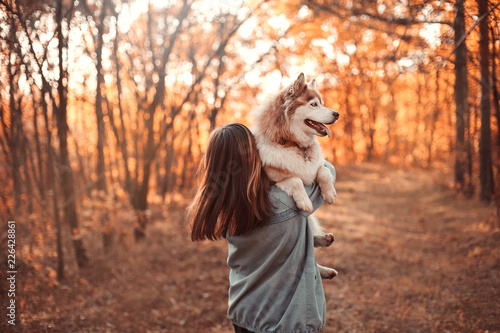 Girl holding siberian husky on hands in the beautiful autumn park