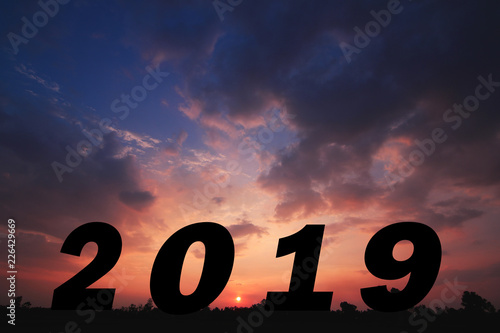 Happy new year Silhouette sunset background. number 2019. Photo Silhouette and new year concept idea.