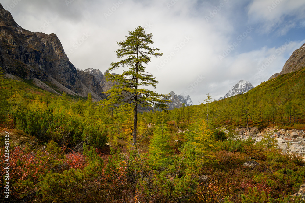 Obraz premium The beginning of autumn in the Kodar Mountains